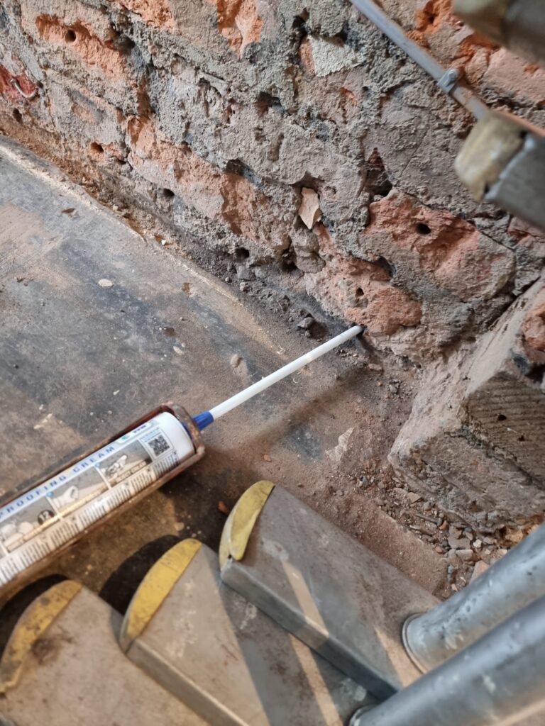 Daily hygiene habits prevent pests and health risks effectively.