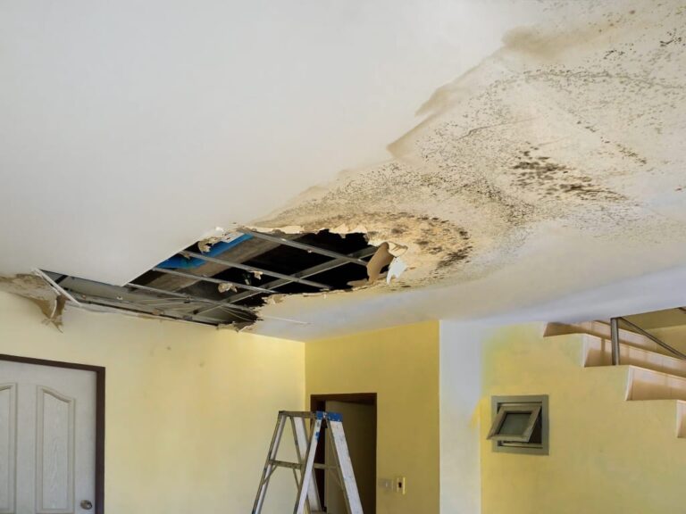 "HHSRS Damp and Mould Experts at HMO Horizon